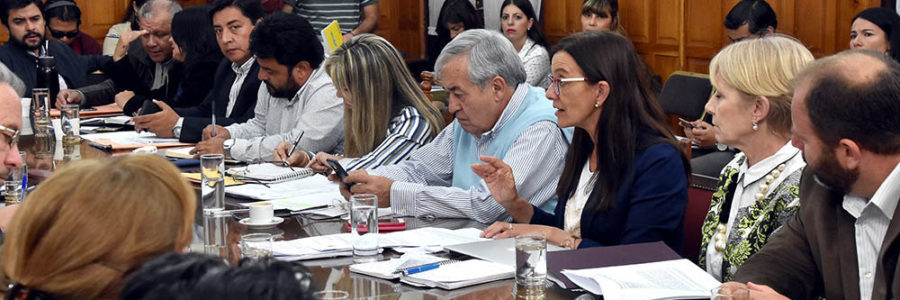 Berruezo expuso en Diputados sobre acciones en materia de educación sexual integral