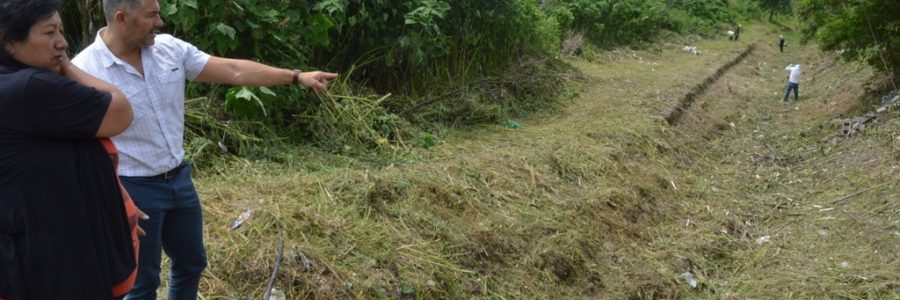 Avanza la limpieza del canal Oeste alto