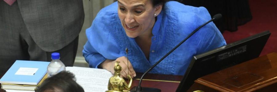 Michetti prohíbe a los senadores canjear pasajes por dinero