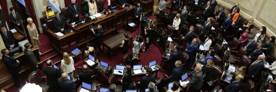 El Senado comienza el debate para que la deuda con el FMI se pague con dólares «fugados»