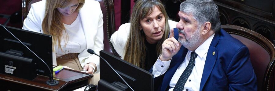 El Senado aprobó el pliego de Ana María Figueroa tras un doble empate que definió Claudia Ledesma