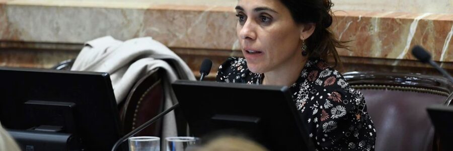 Lucila Crexell justificó su ausencia en la sesión tras la aprobación del pliego de Figueroa en el Senado