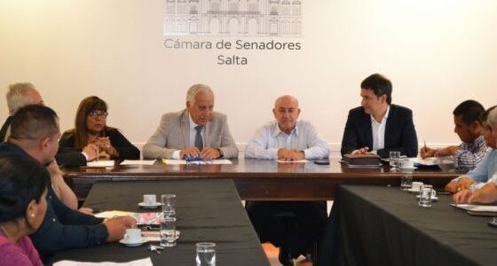 El ministro Domínguez aportó al Senado su visión sobre el proyecto de Reforma del Código Procesal Penal