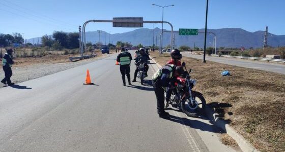 Seguridad Vial infraccionó a 283 conductores alcoholizados