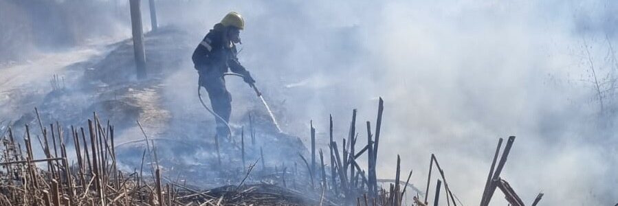 Por la suba de temperatura, se recomienda tomar precauciones para evitar incendios forestales