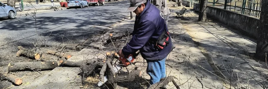 El municipio abrió las inscripciones para participar del curso de podadores