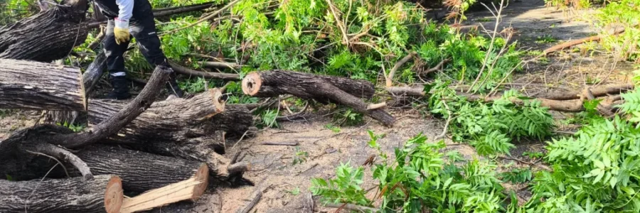 El municipio intervino por diferentes incidentes registrados durante la lluvia