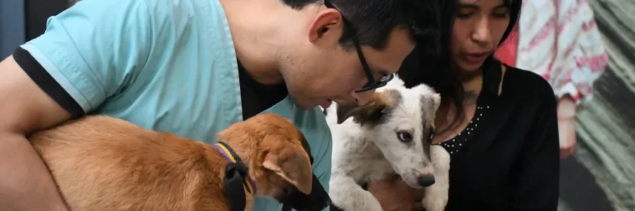 ste viernes 24 habrá una nueva jornada de adopción en el Alto Noa Shopping