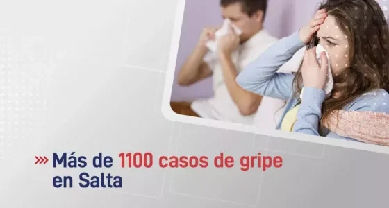 Se confirmaron más de 1100 casos de gripe en la provincia