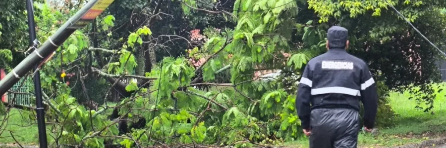 Distintas áreas del municipio prestaron asistencia por emergencias tras la lluvia 